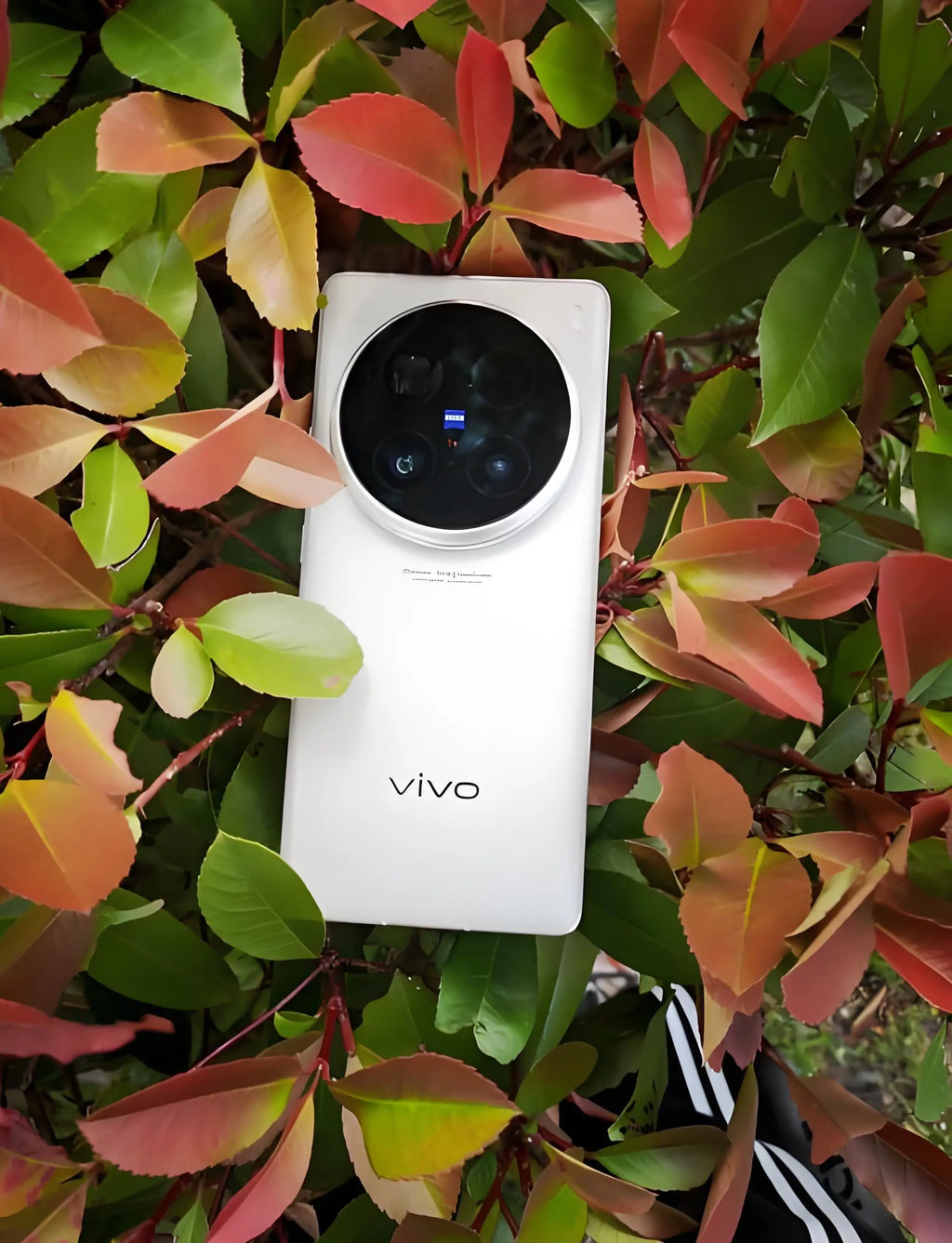 Vivo X100 Ultra Smartphone 5G 6.78inches 120Hz 5500mAh 256GB ROM 50MP camera Used Phone